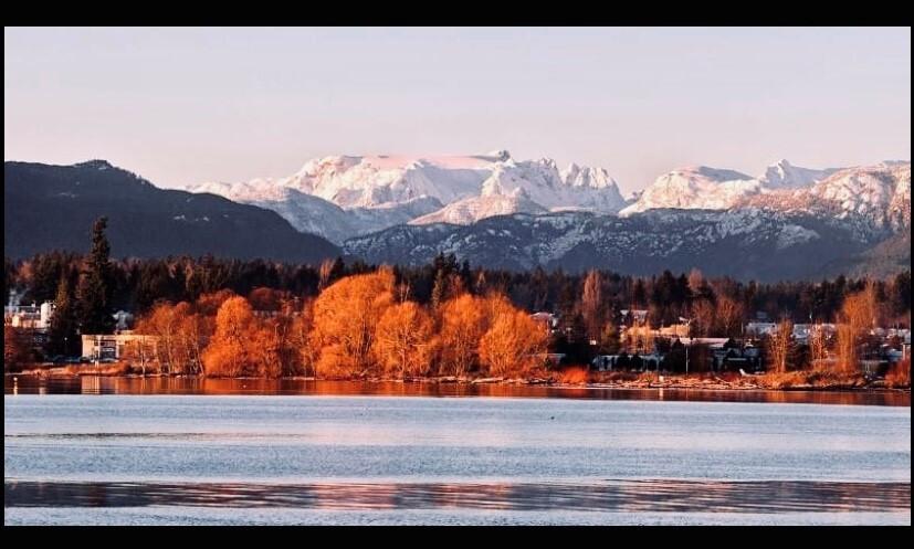 Comox Valley Family Services Association