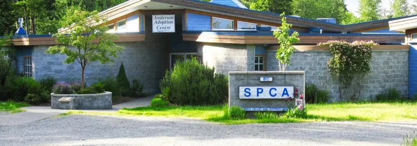 BCSPCA - Comox Valley