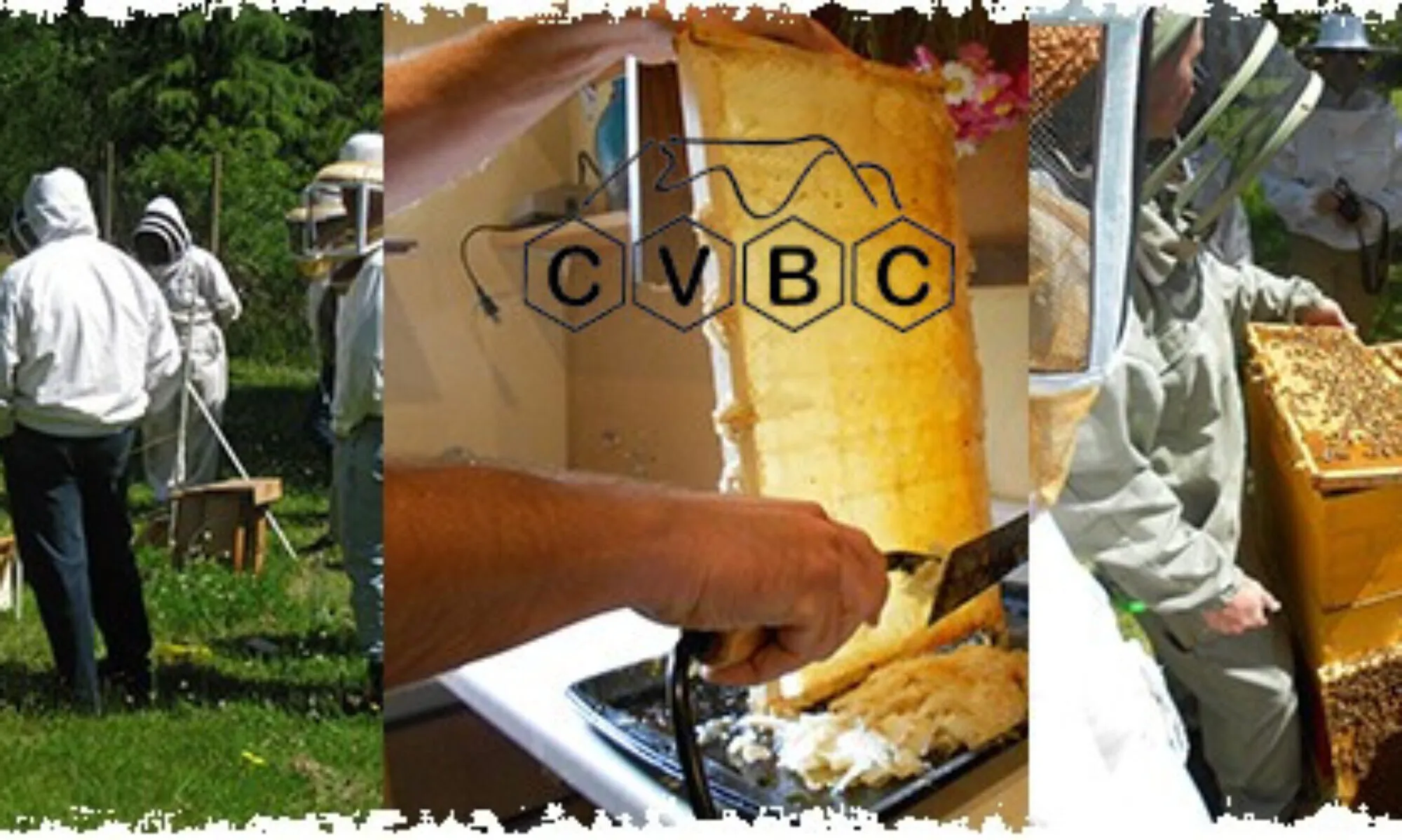 Comox Valley Bee Club