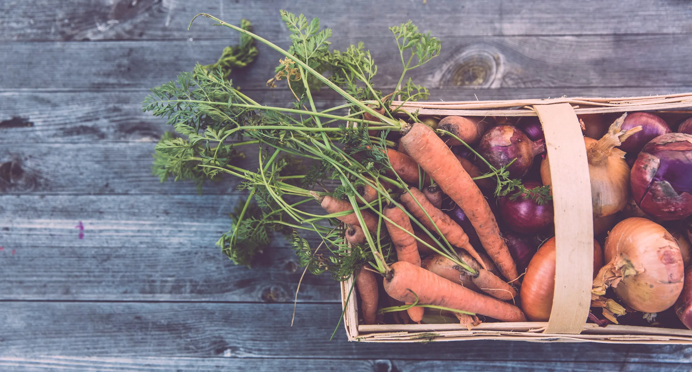 Comox Valley Food Bank