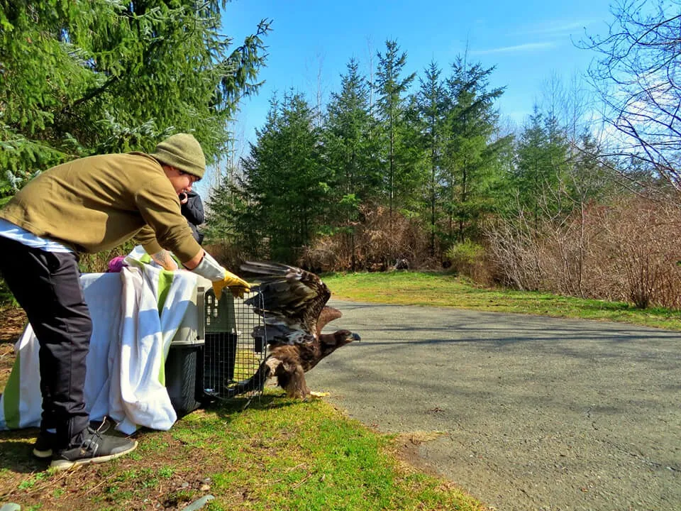 MARS Wildlife Rescue