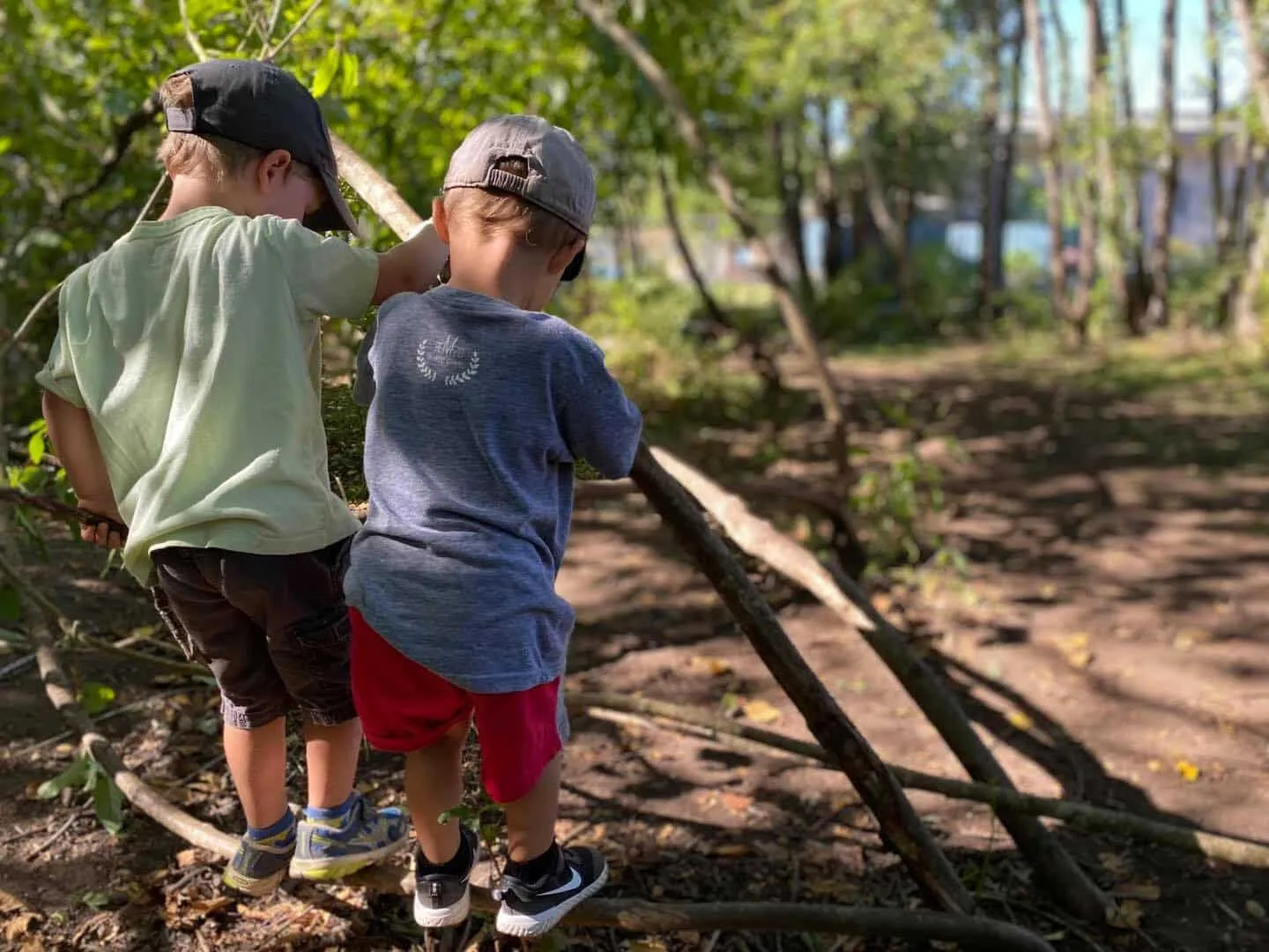 Today 'N' Tomorrow Learning Society